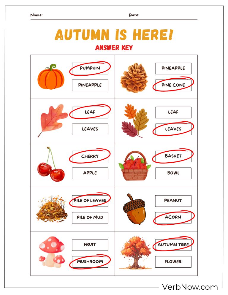 Fall Puzzles 19