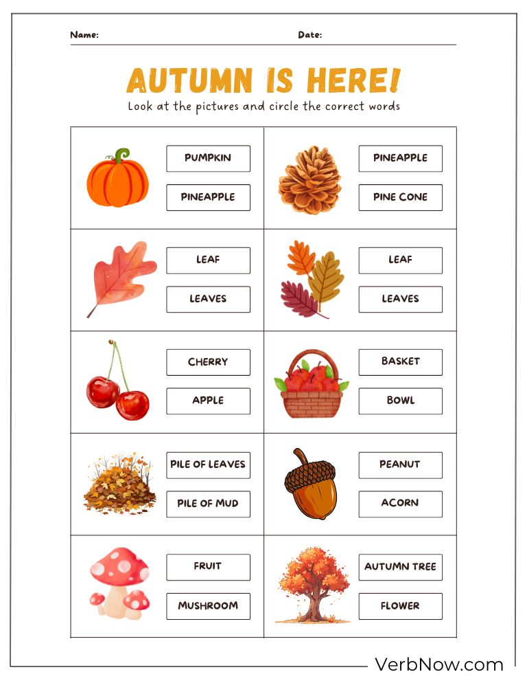Fall Puzzles 20