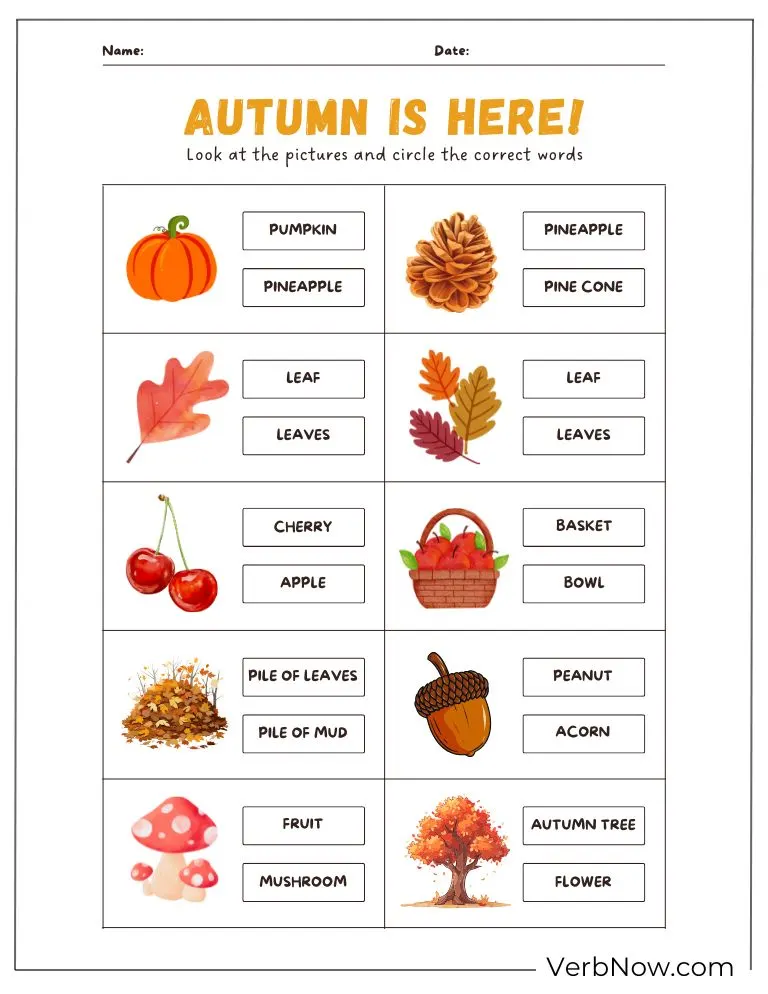 Free Fall Puzzles for Kids and Families (100% Printable PDF) Autumn is here puzzle – identify autumn words from pictures.