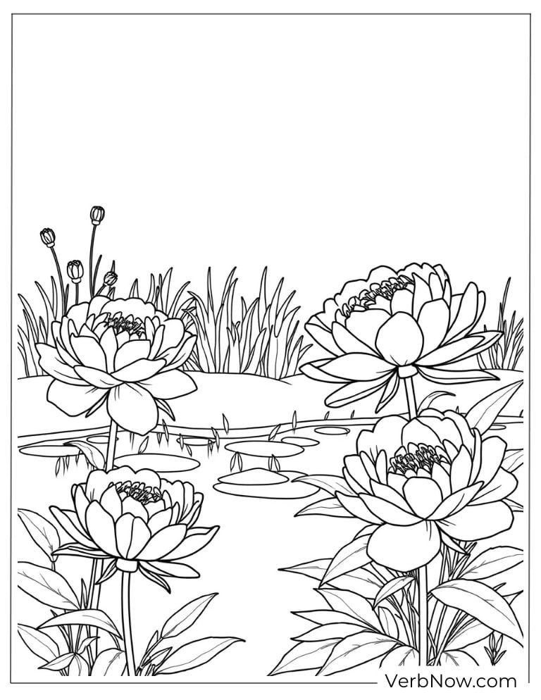 Pond surrounded by tall blooming peonies