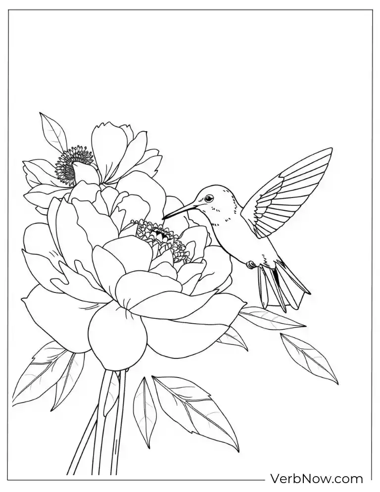24 Free Peony Coloring Pages For Kids (Printable PDF) Hummingbird sipping nectar from a blooming peony