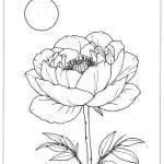 Peony Coloring Pages 2 featured image