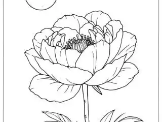 Peony Coloring Pages 2 featured image