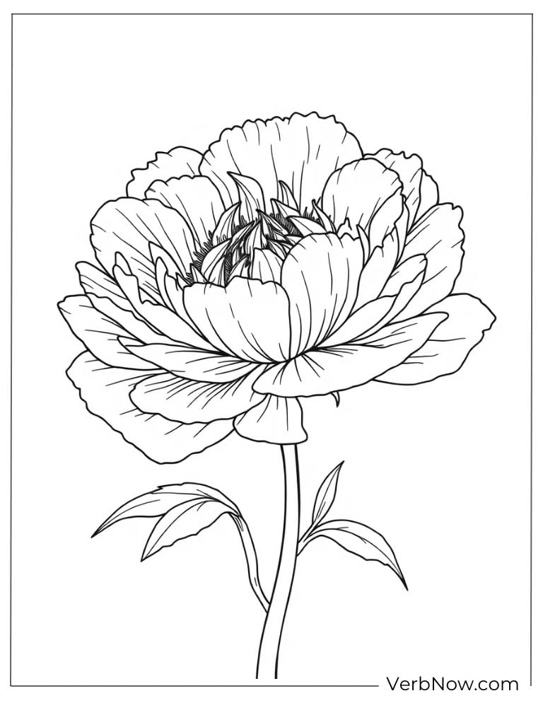A tall peony with delicate petals and a butterfly