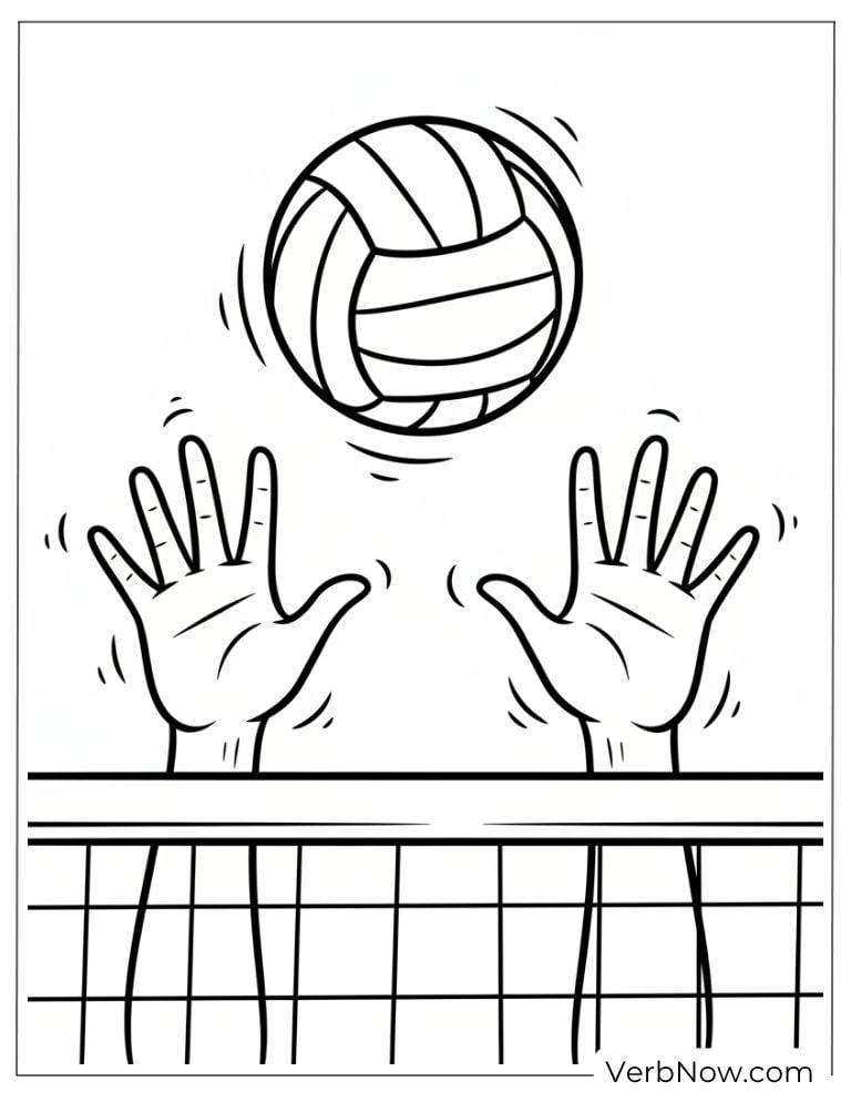 volleyball17
