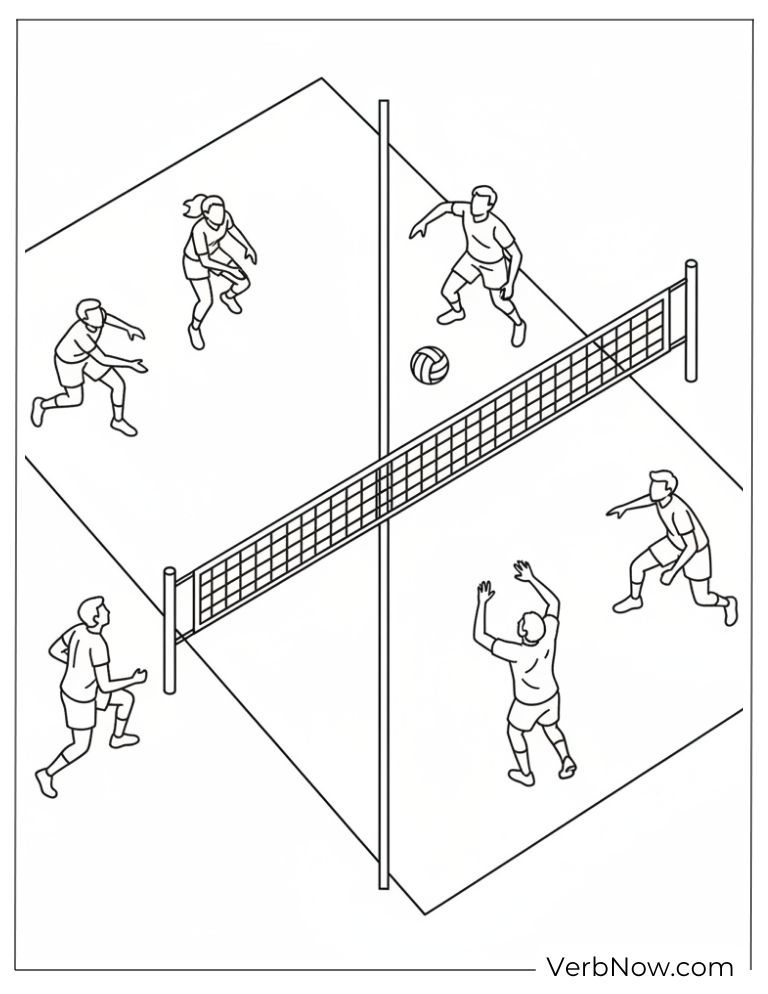 volleyball2