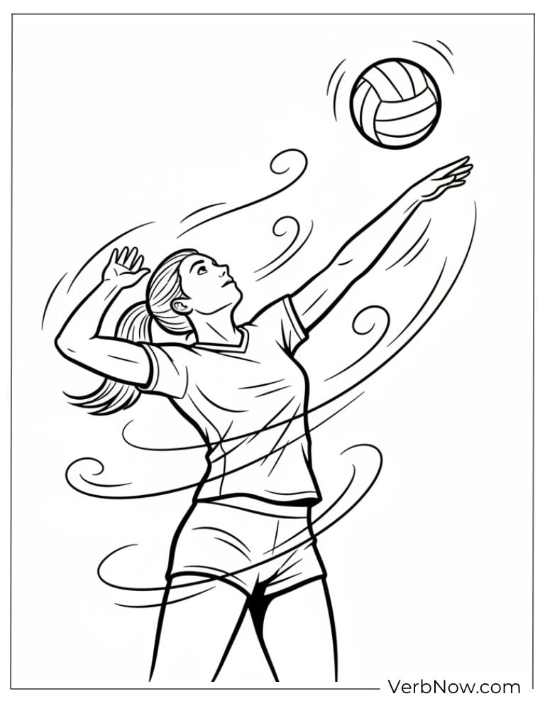 volleyball22