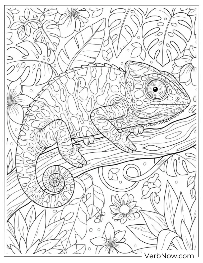 chameleon9
