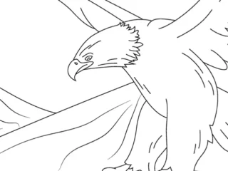 Bald eagle coloring pages: eagles in flight over mountains and lakes, perched portraits, patriotic flag scenes, and geometric pattern designs, free printable line art