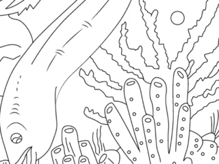 Eel coloring pages: eels swimming solo through reef scenes, paired with an octopus or seahorse, plus an electric eel and a pirate shipwreck scene, free printable line art