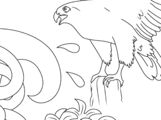 Falcon coloring pages: falcons perched on a branch, in flight or hunting near water, and three other birds tagged alongside them, free printable line art