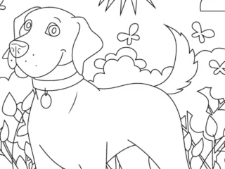 Labrador coloring pages: dogs by cottages and garden fences, playing outdoors, a puppy in a kitchen scene, and a boy feeding his dog at the table
