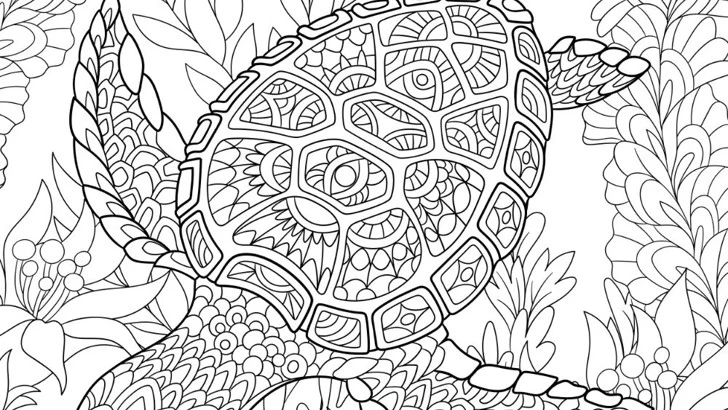 23 Free Turtle Coloring Pages (Sea Turtles + Tortoises, PDF) Turtle coloring pages: simple sea turtles for toddlers, detailed zentangle shells for adults, and two land tortoises, free printable line art
