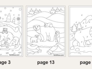 Five of the 22 printable bear coloring pages: page 4 a bear holding a honey pot, page 3 a bear asleep in a snowy den with a cub, page 13 a bear with three cubs, page 18 a bear in a striped hat and scarf in the snow, page 14 a bear with a koala and an owl